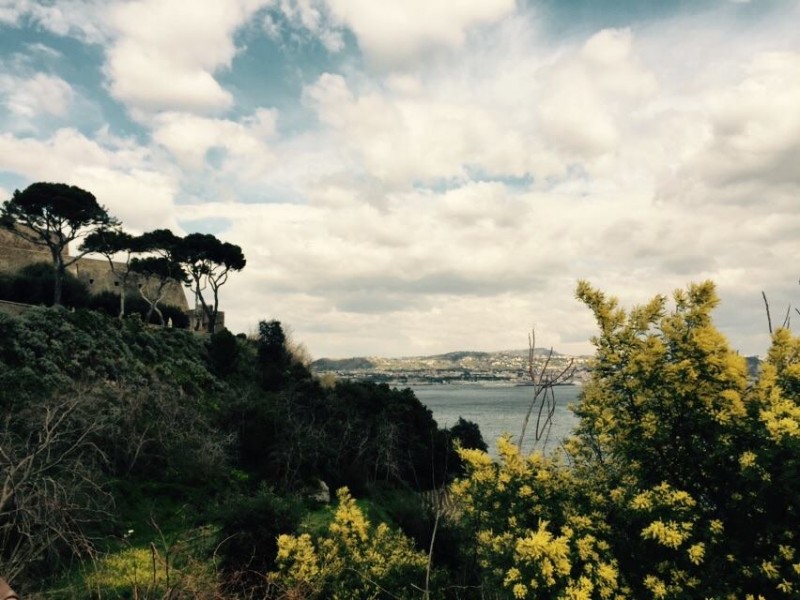 Campi Flegrei, capo Miseno (Foto Francesca Marino)