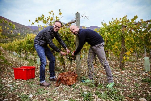 Andrea di Fabio e Niko Romito in vendemmia