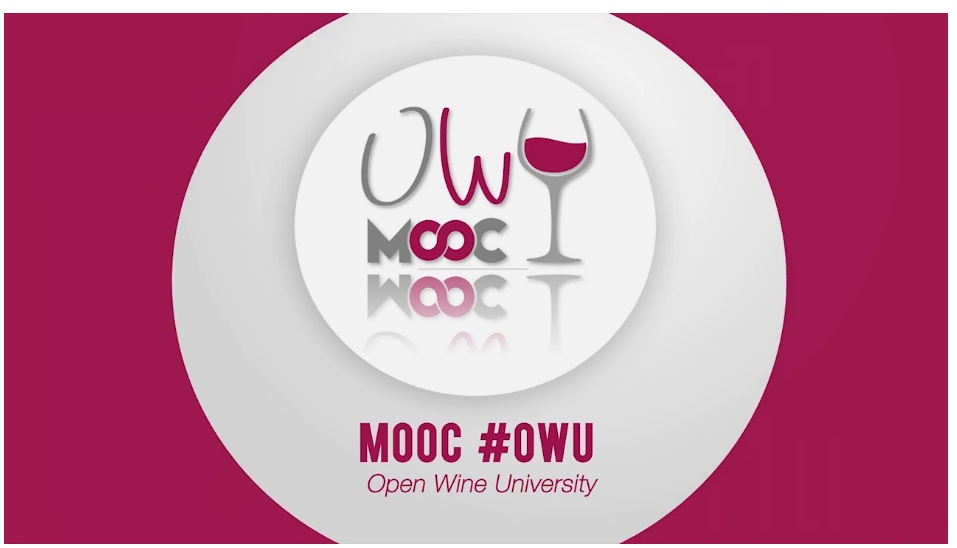 Open Wine University primo corso universitario gratuito on line sulla