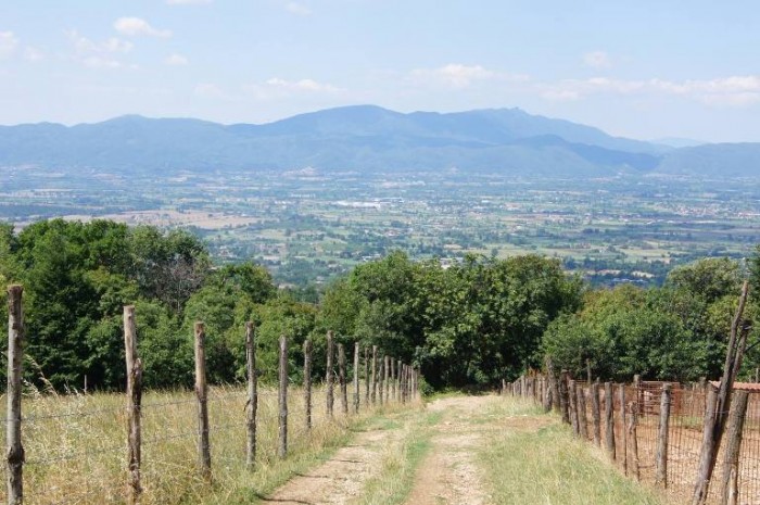 Quercete, veduta dalla parte alta dell'azienda