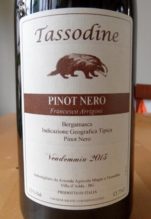 Tassodine Igt Bergamasca Pinot Nero “Francesco Arrigoni” 2013