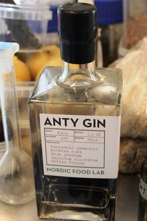 Nordic Food Lab, il gin ottenuto dalle formiche