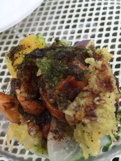 Taste of Rome 2015, polpo e alghe, radici e blend uma-mia