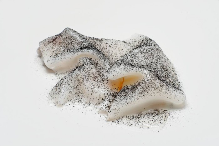 “Seppia, Allievo, Mandorla e Limone” di Angelo Sabatelli (ph Lello D'anna)