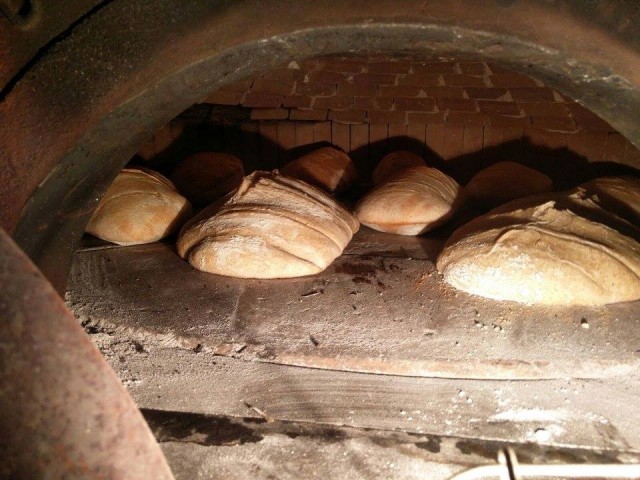 Azienda Agricola Prisco, il pane cotto nel forno a legno