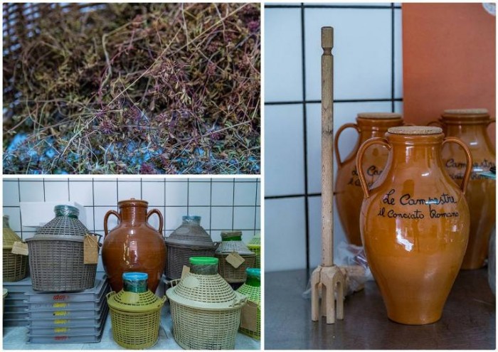 Conciato Romano, il timo serpillo della vallata utilizzato per la concia che avverrà in damigiane di vetro o in anfore di terracotta