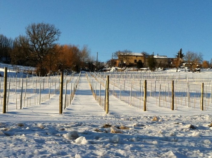 Fiano Cianciulli la vigna sotto la neve