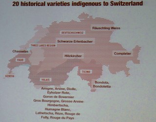 Swiss Wines, varietà storiche