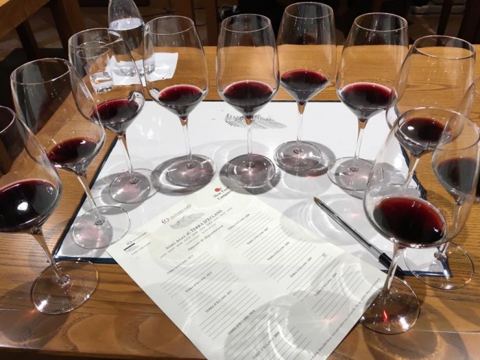 la verticale di di Terra d’Eclano di Quintodecimo