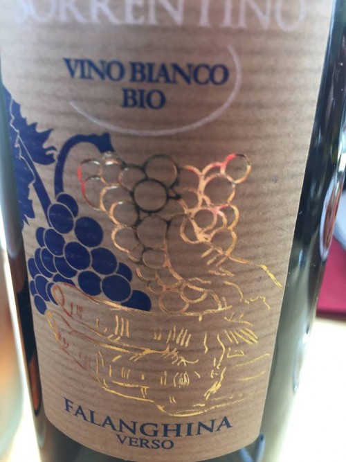 Falanghina “Verso” 2014 Sorrentino