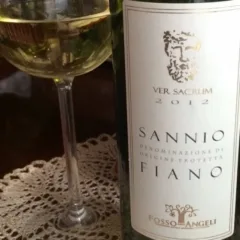 Fiano Fosso degli Angeli
