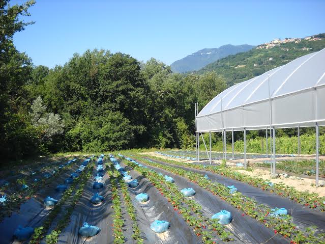 Fattoria Sociale Isca delle Donne