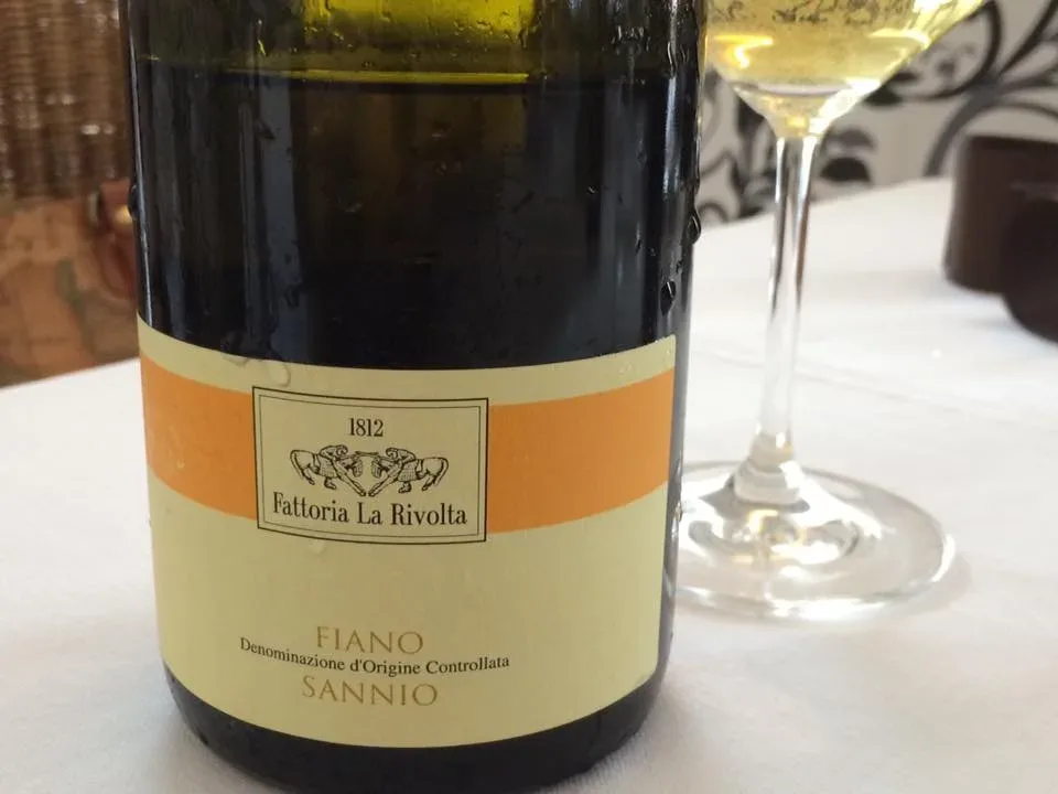 Fiano Sannio 2008 Fattoria La Rivolta