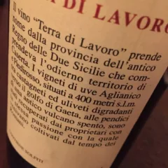Terra di lavoro 2005 Galardi