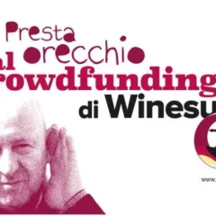 winesurf