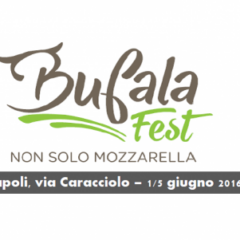 Bufala fest