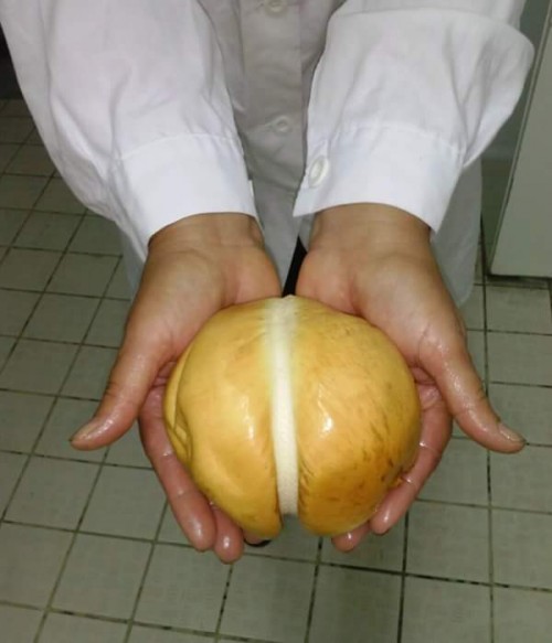 ANNA DORA CAMPANILE - La provola affumicata