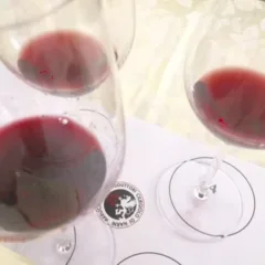 I colori del Ciliegiolo