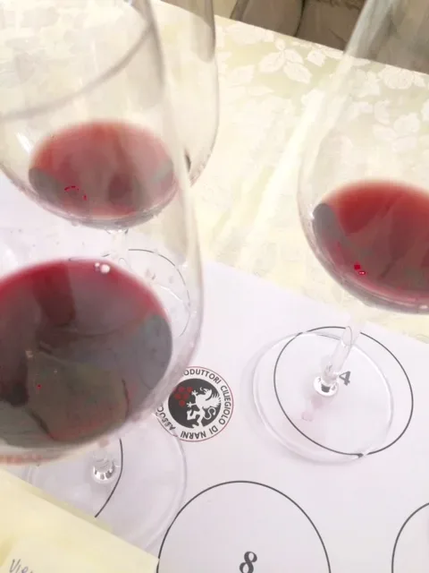 I colori del Ciliegiolo