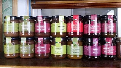 IL GUSTO DELLA COSTA