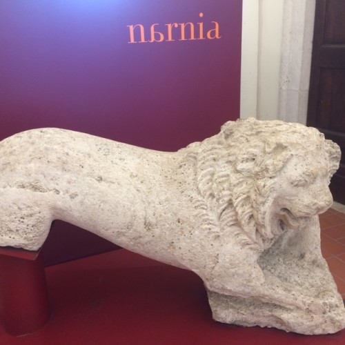 Il leone a Palazzo Eroli