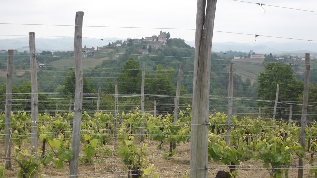 La Giribaldina Vigna di Barbera