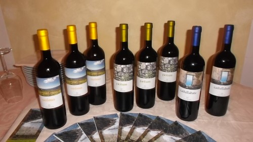 Vini di San Giovanni