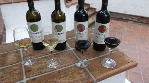 Vini di Verrone