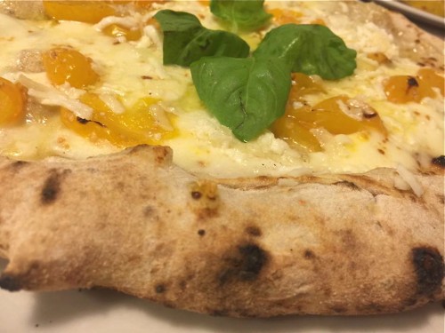 Multicerale con datterino giallo, fior di latte di Agerola, caso conciato bagnolese