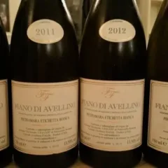 Verticali di Greco di Tufo e Fiano della produttrice Rosanna Petrozziello