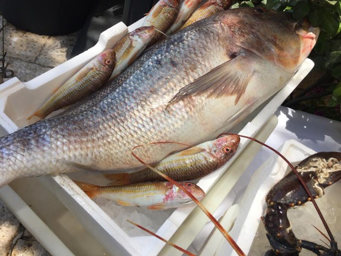 Al Pescatore Bari, il pescato