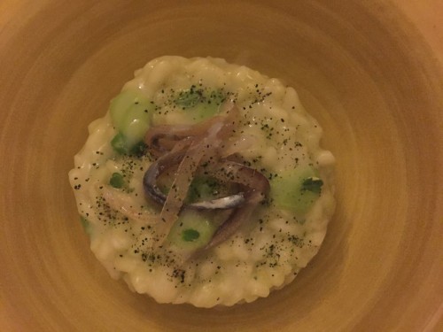 Bikini, risotto piselli e alici con limoni di Sorrento
