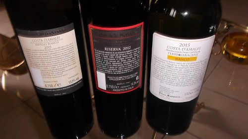 Controetichette Nuove annate vini di Ettore Sammarco