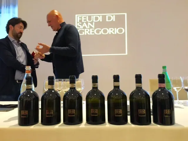 Feudi Studi