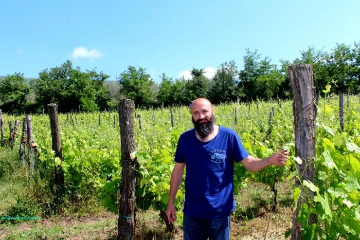 LUIGI DI BIASIO AL VIGNETO