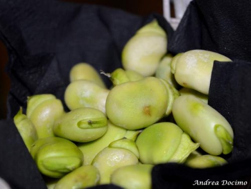 Morsi & Rimorsi ed il Taburno. Le fave