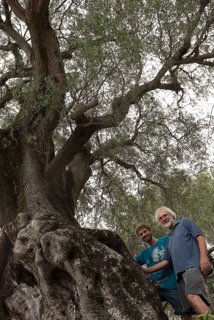 Perbacco, Vito Puglia