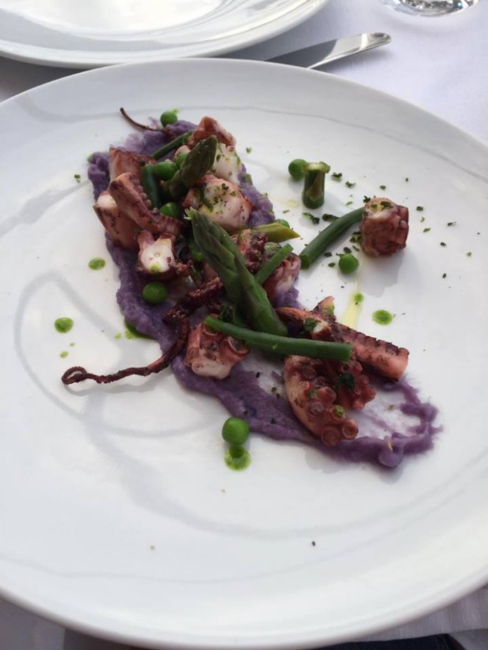 Polpo su fondo marino