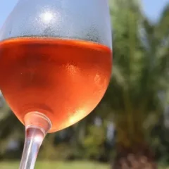 Rosato del Salento