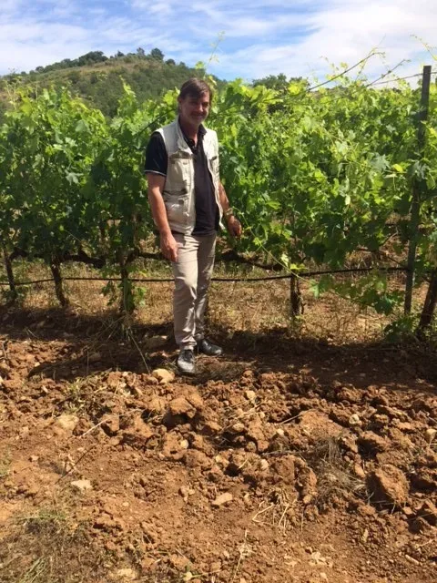 Stefano Frascolla tra le vigne