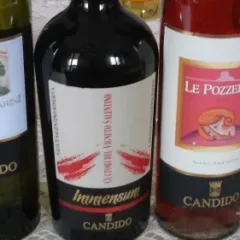 Vini di Candido
