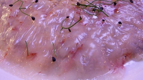 Risotto con funghi al battuto di gamberi