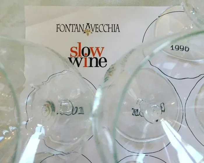 Verticale Vigna Cataratte di Fontanavecchia