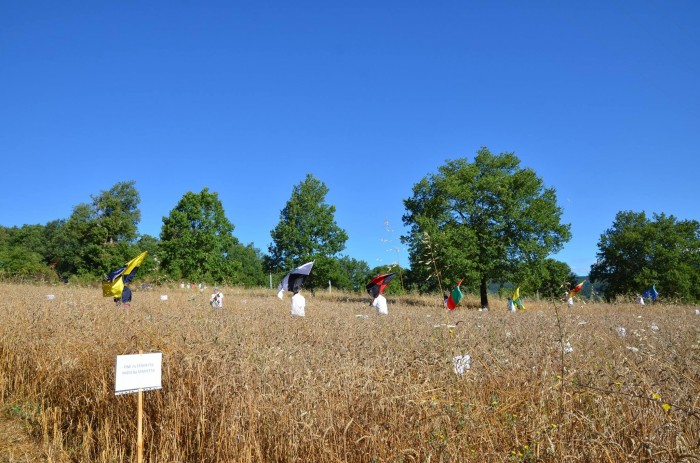 Palio del grano, Ci si prepara alla gara