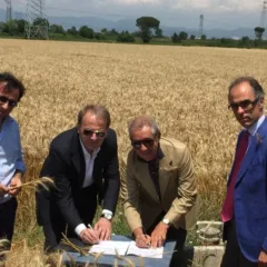 Capodanno del Mugnaio