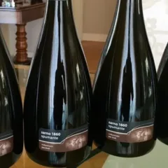 Spumante Tenuta Sarno