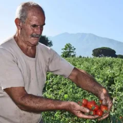 Terraviva I campi e il Vesuvio