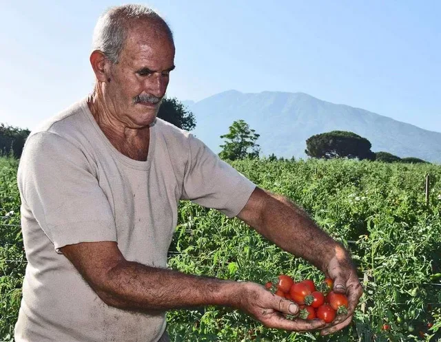 Terraviva I campi e il Vesuvio