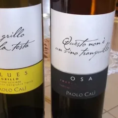 Vini dell'azienda agricola Paolo Cali
