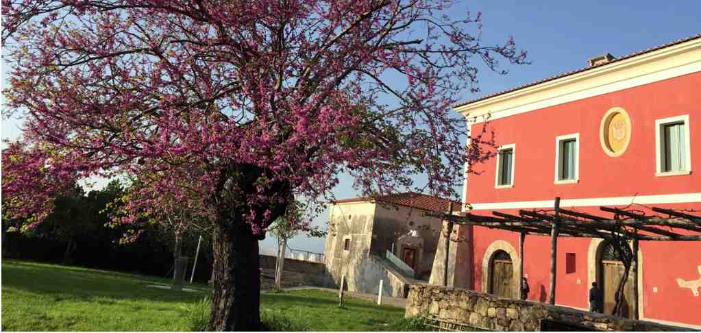 Tenuta Duca Marigliano